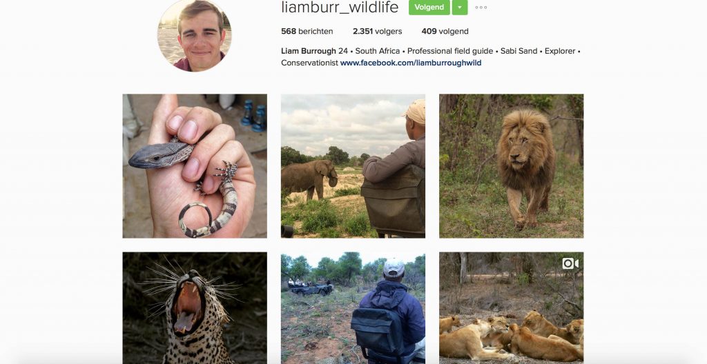 instagram Liamburr_wildlife
