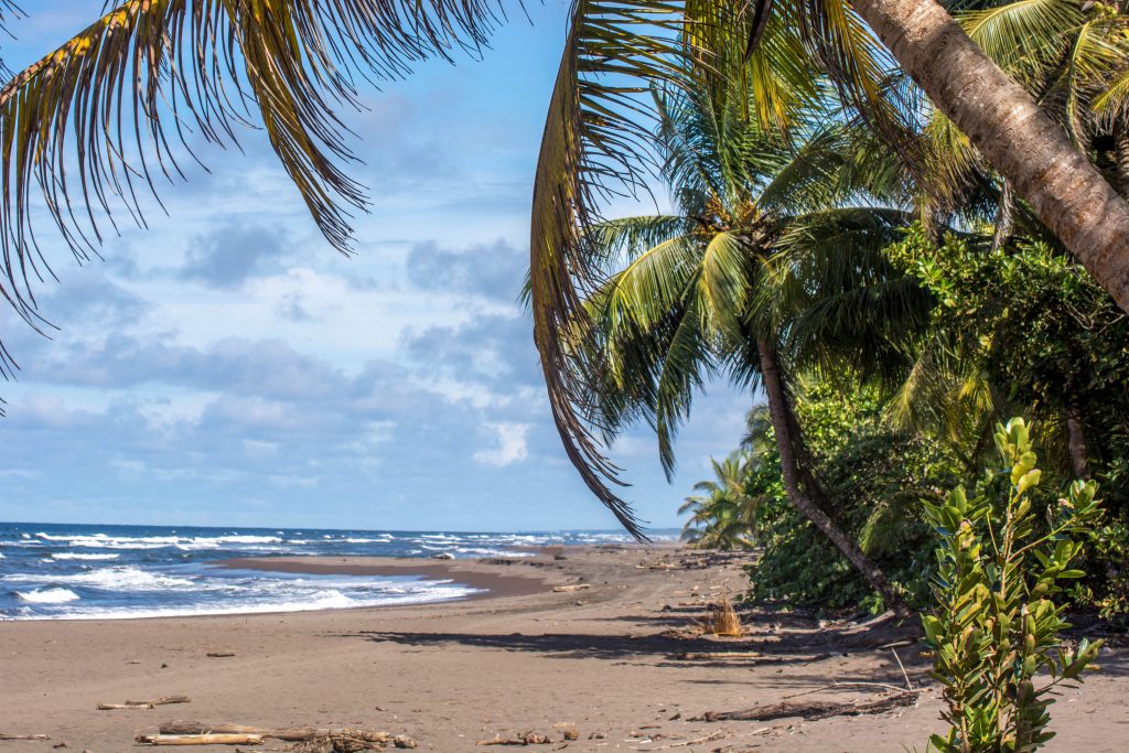 Beach in Tortuguero Costa Rica