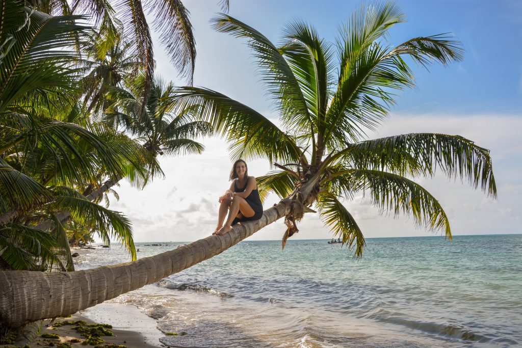 sitting on palm tree in little corn island Nicaragua