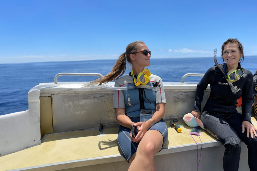 boat trip on the lookout for dolphins an whales near Funchal Madeira 