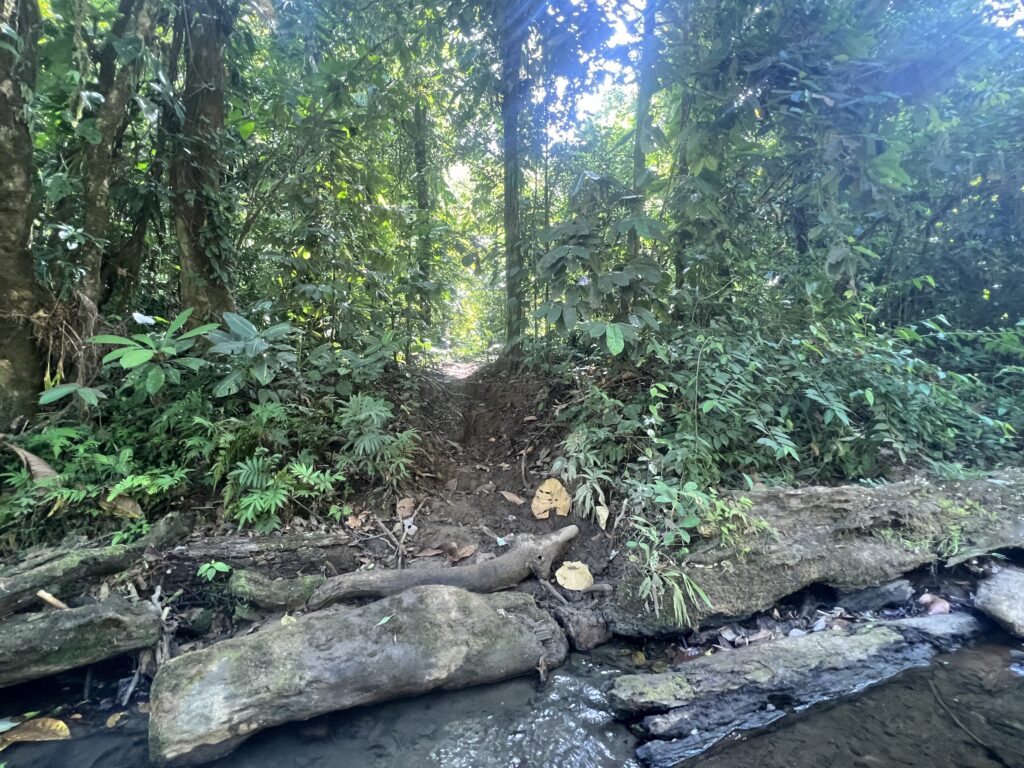 Naguala waterfall trail