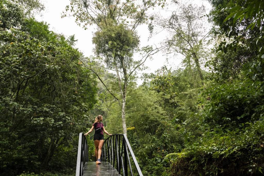 crossing bridge on pipeline trail bouquet Panama 