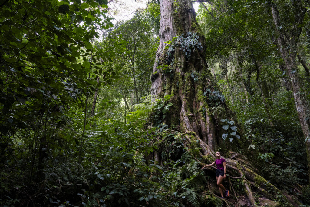 Boquete pipeline trail 