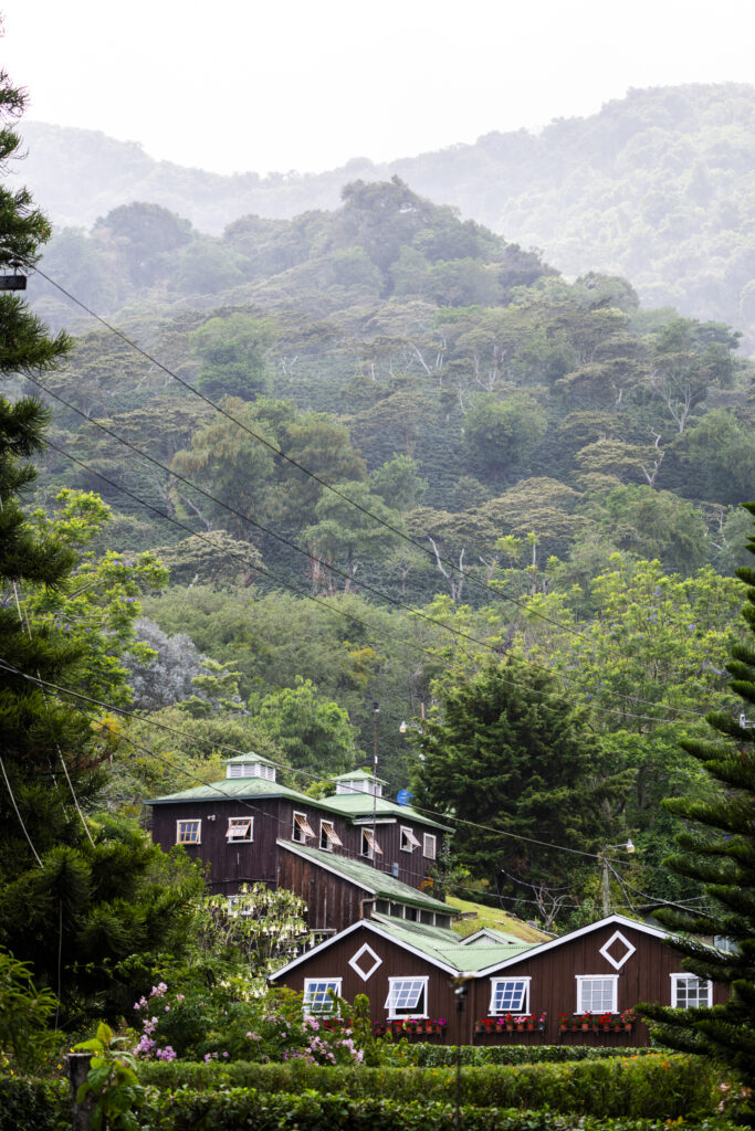 Hotel and Coffee Farm Finca Lérida