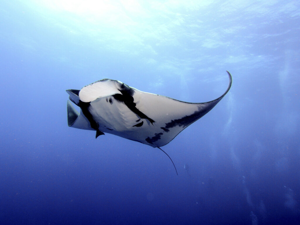 Coiba National Park, Panama