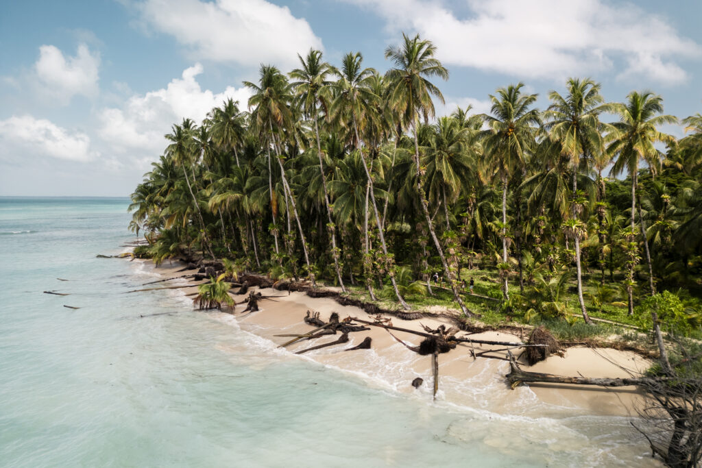 Zapatilla Island Bocas del Toro 