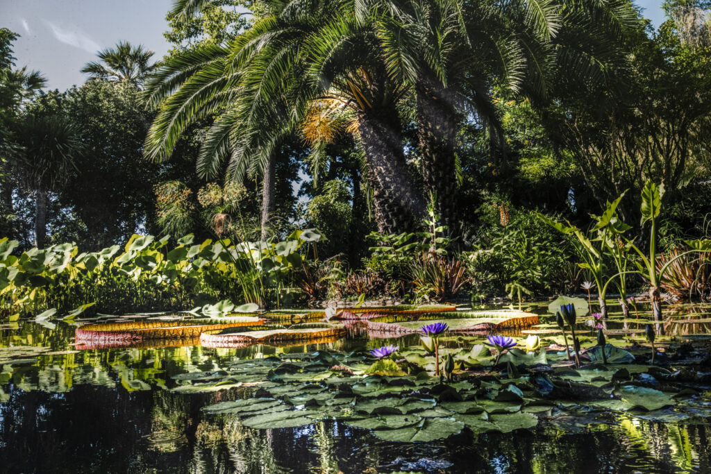 Jardin botanique Val Rahmeh-Menton