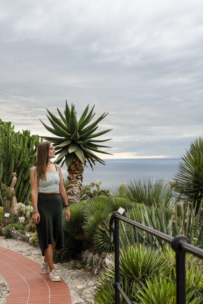 View from the exoctic garden in Eze, france