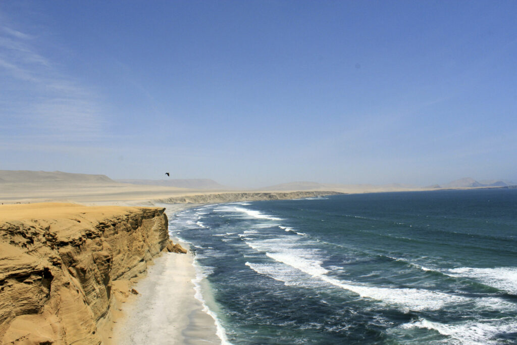 Paracas National Reserve