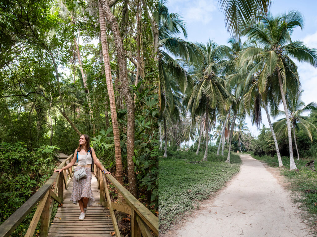 Trail in Tayrona National Park, from El Zaino to Cabo San Juan 