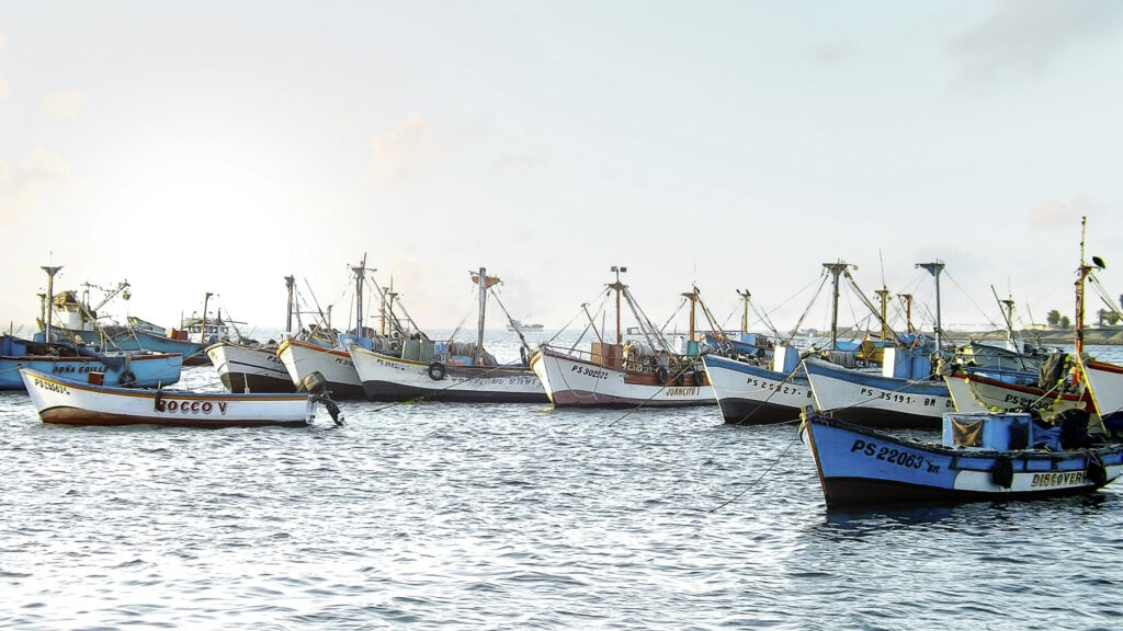 Paracas boats